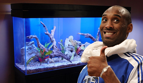 fish-tank_featured.jpg